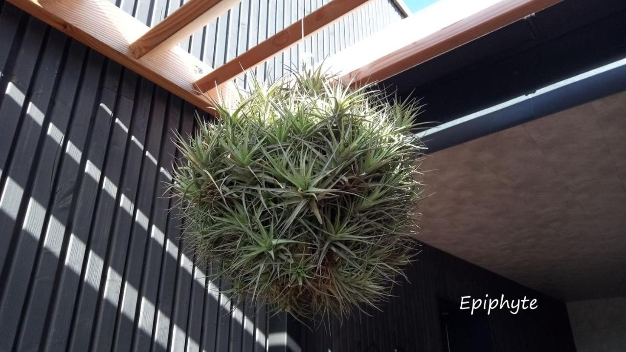 Ferienwohnung Epiphytes Et Succulentes Paimpol Exterior foto